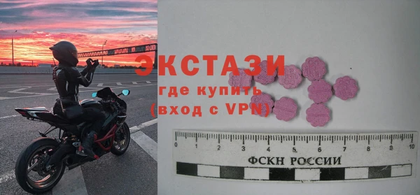 СК Алексин