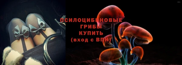 СК Алексин